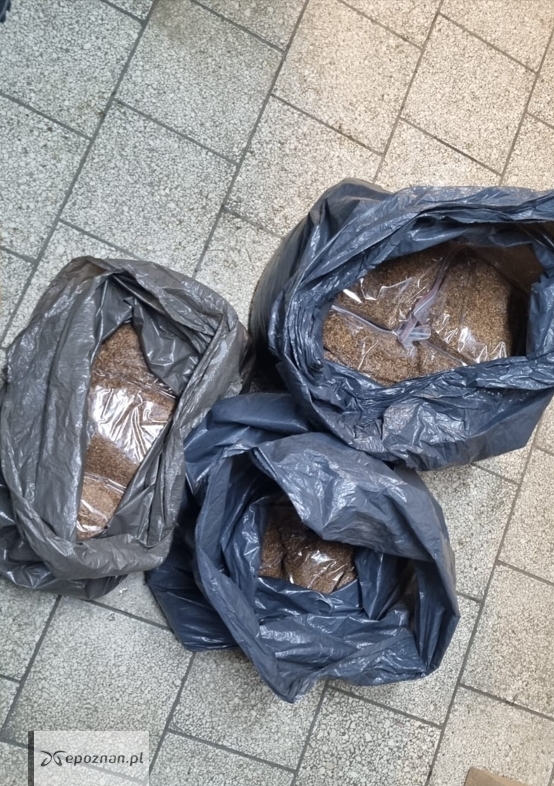 fot. policja