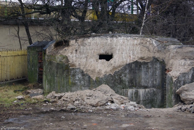 fot. Włodzimierz  Hoppel