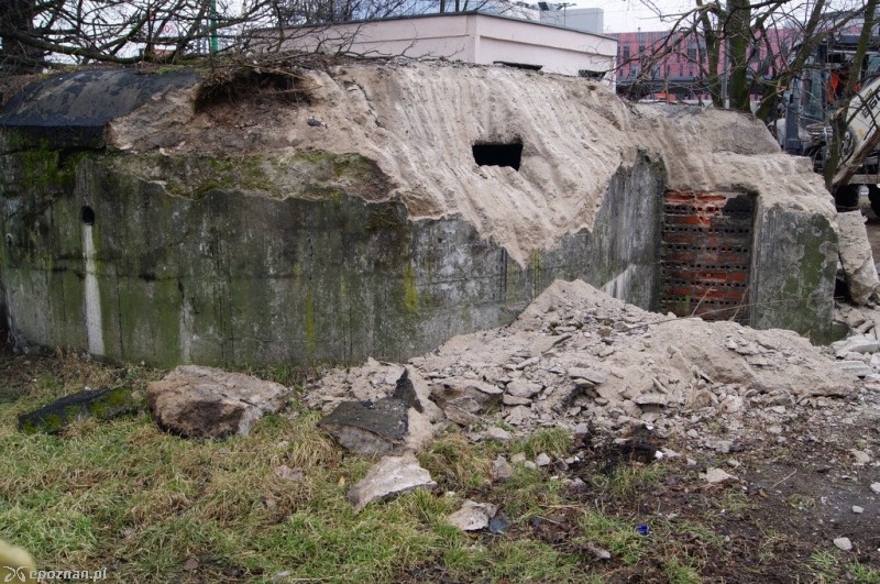 fot. Włodzimierz  Hoppel