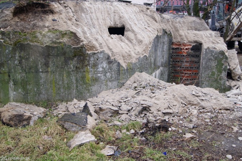 fot. Włodzimierz  Hoppel
