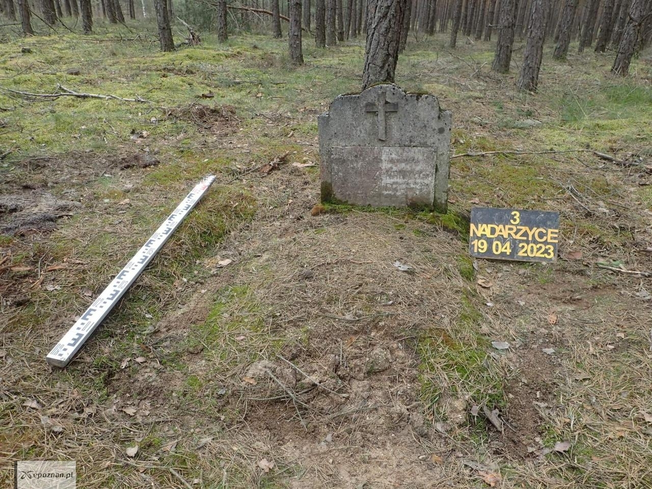 fot. POMOST